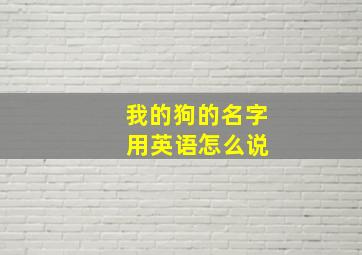 我的狗的名字 用英语怎么说